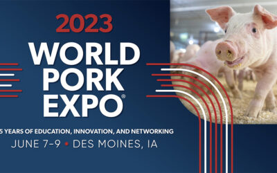 Participación en el WPX